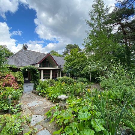 Sjieke Gezellige Villa In Het Bos Lieshout Εξωτερικό φωτογραφία