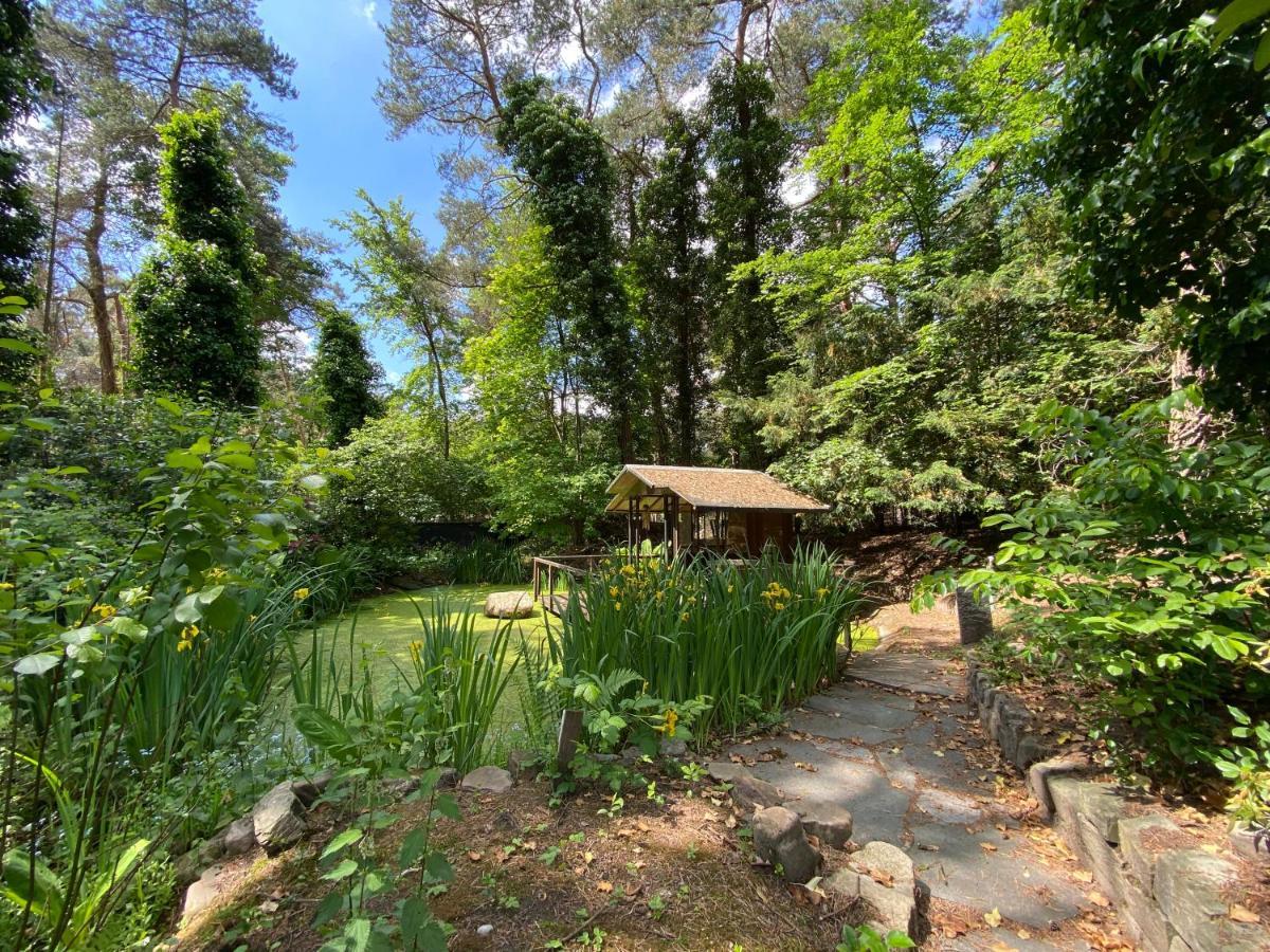 Sjieke Gezellige Villa In Het Bos Lieshout Εξωτερικό φωτογραφία