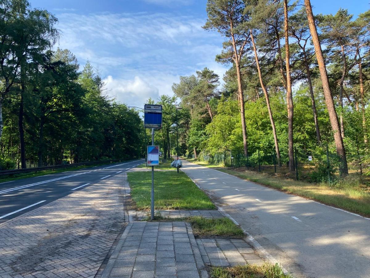 Sjieke Gezellige Villa In Het Bos Lieshout Εξωτερικό φωτογραφία
