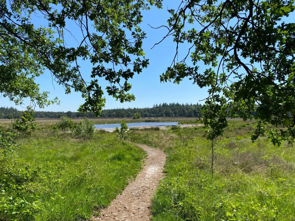 Sjieke Gezellige Villa In Het Bos Lieshout Εξωτερικό φωτογραφία