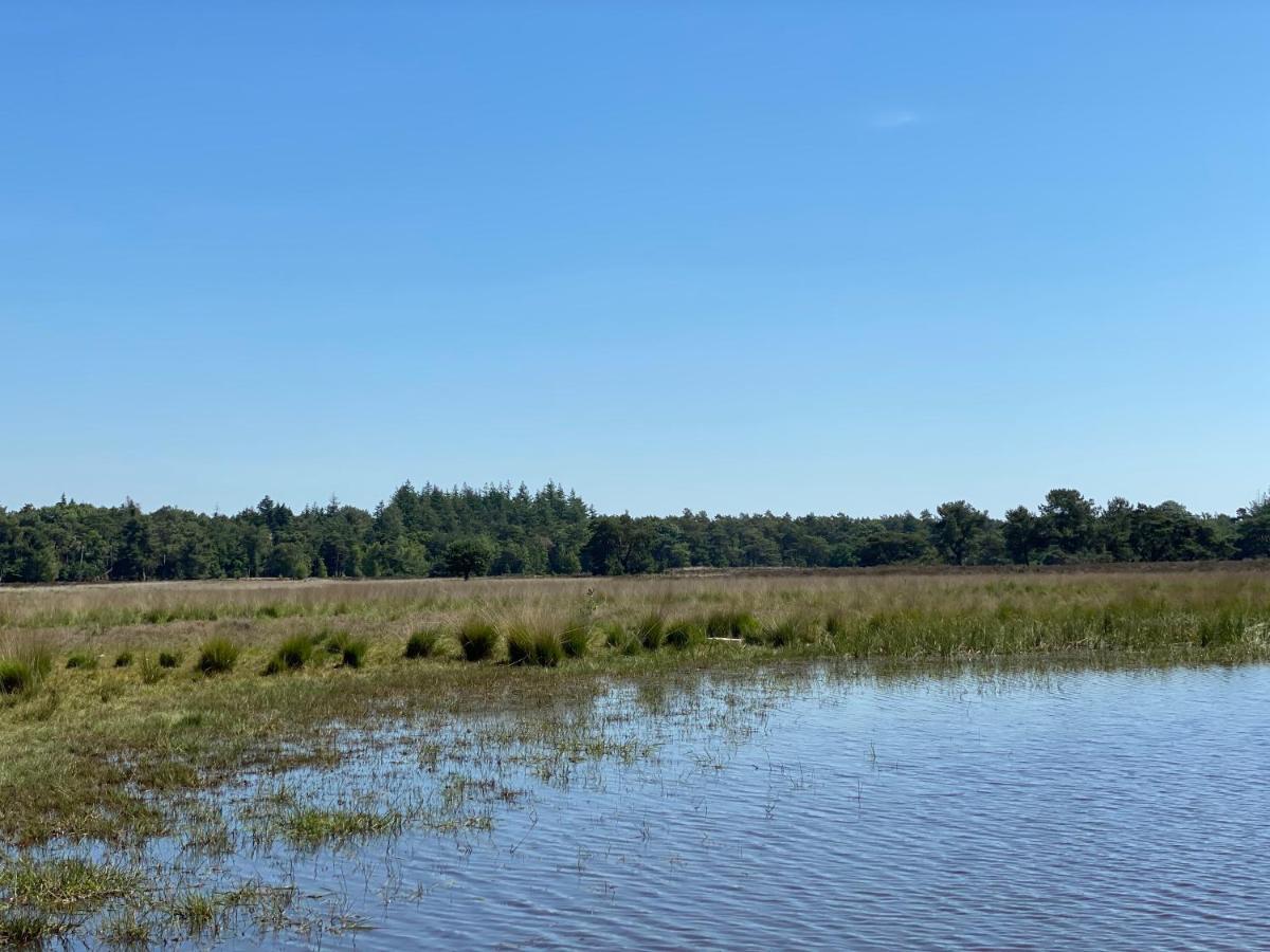 Sjieke Gezellige Villa In Het Bos Lieshout Εξωτερικό φωτογραφία