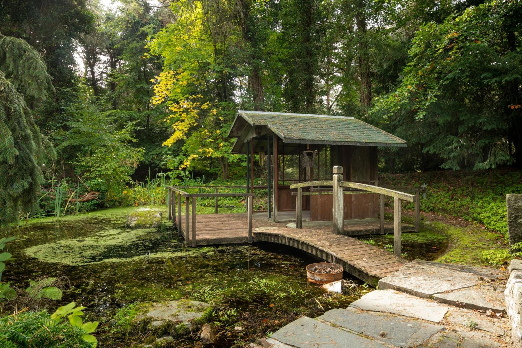 Sjieke Gezellige Villa In Het Bos Lieshout Εξωτερικό φωτογραφία